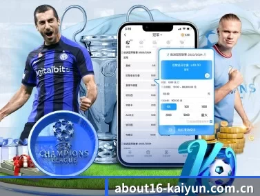 开云app官方网站入口网址 APP 界面